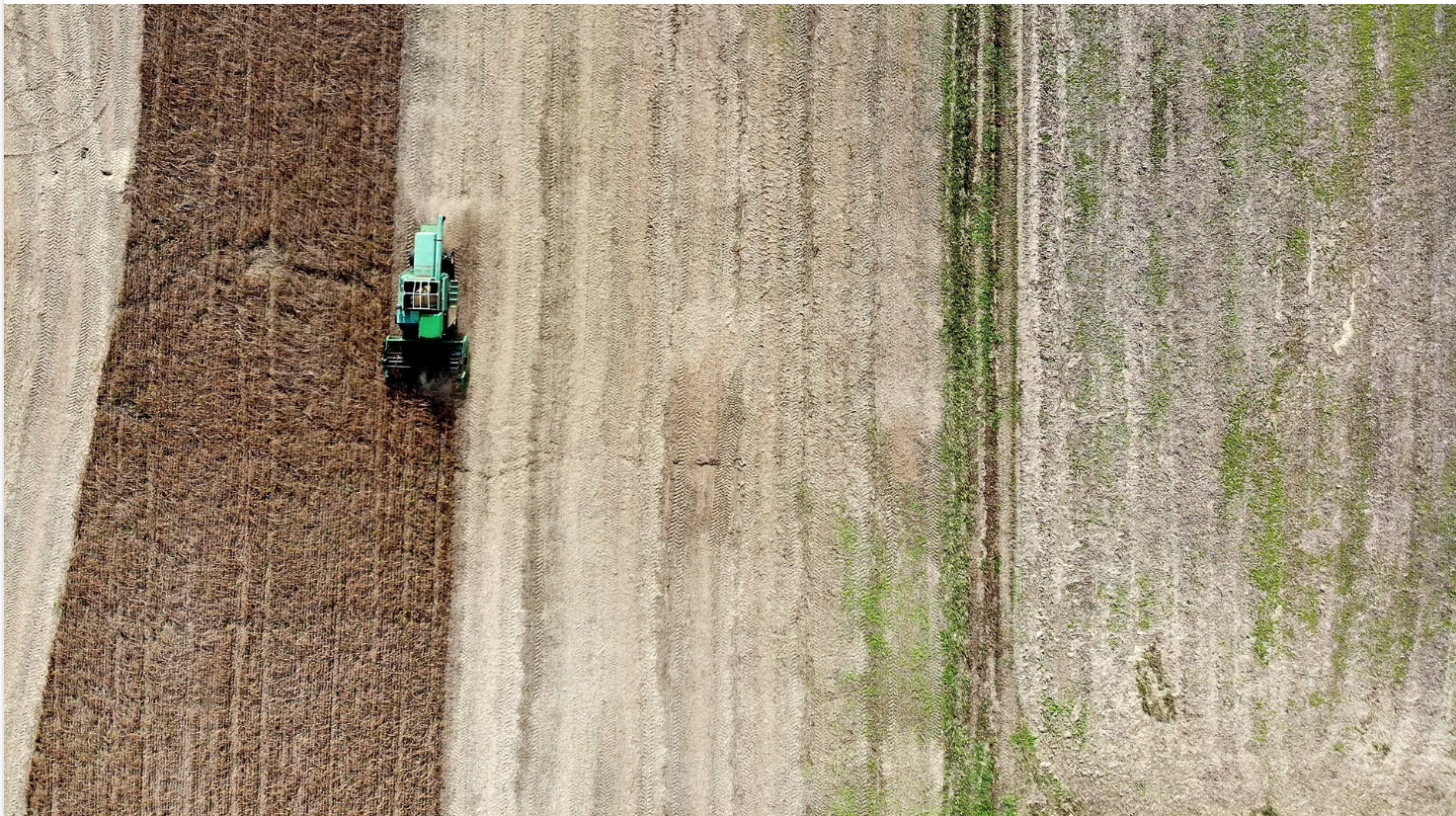  Soy farming in Owings, Maryland, which sells its crop to U.S. chicken farmers. Photo: Mark Wilson/Getty 