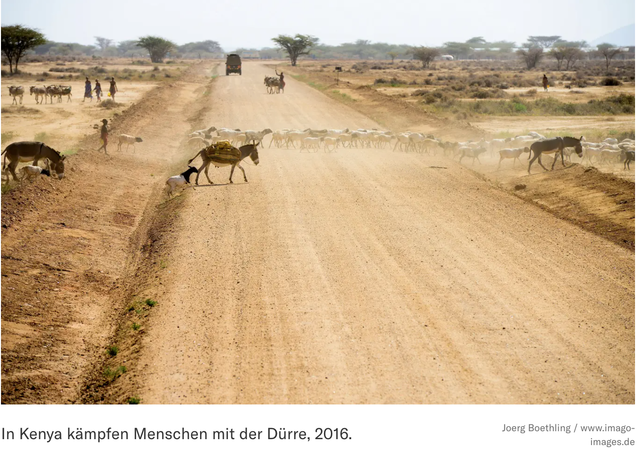 Lassen sich die Probleme des Planeten mit einer gigantischen Umsiedlung lösen?